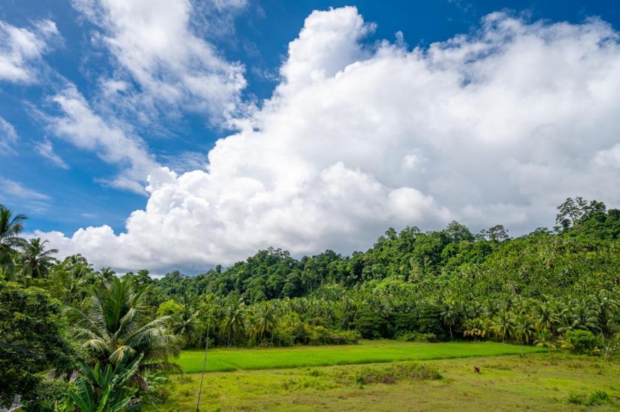 Anibesh Hotel Havelock Island Bagian luar foto