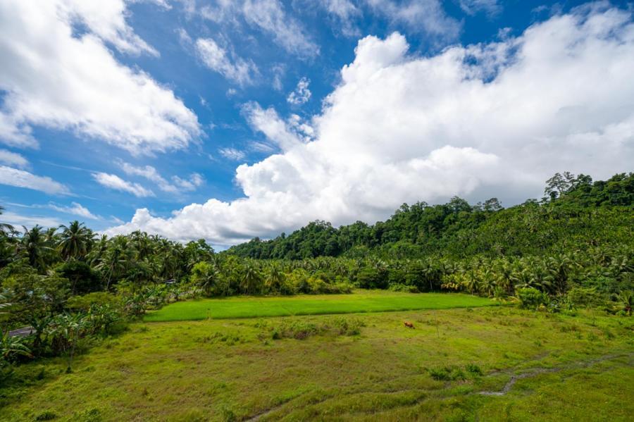Anibesh Hotel Havelock Island Bagian luar foto